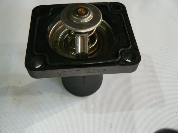 Термостат з корпусом 02/202411